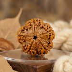 5 Mukhi Nepali Rudraksha